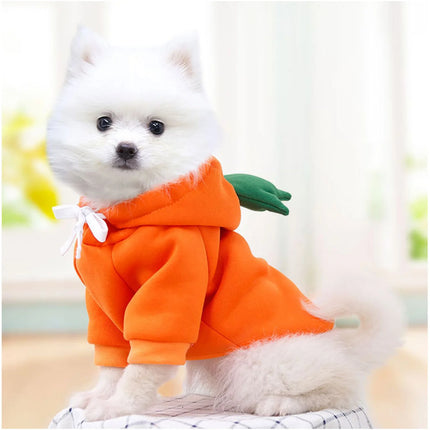 Cute Fleece Dog Hoodie