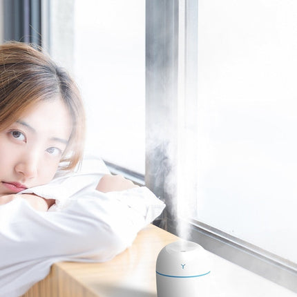 Mini 220ML Air Humidifier