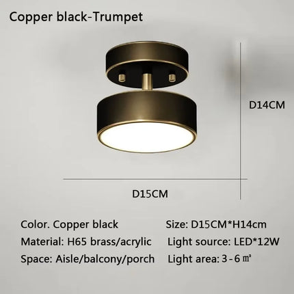 Modern Nordic LED Ceiling Light