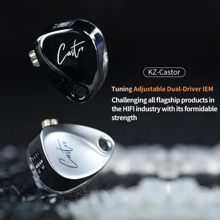 Dual Driver HiFi Earphones