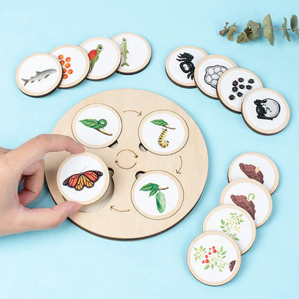 Wooden Life Cycle Sorting Board Montessori Science Learning Set