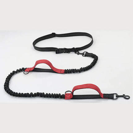Double Elastic Reflective Dog Leash