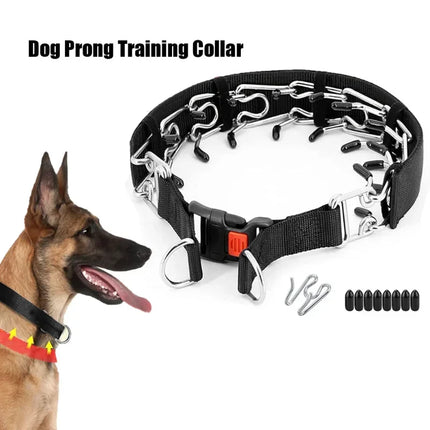 Dog Training Collar