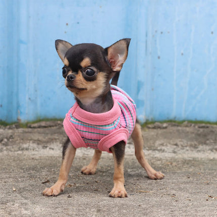 Ribbed Dog Tank Top