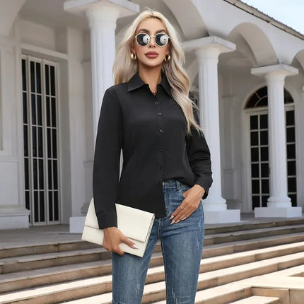 Women's Casual Long Sleeve Blouse