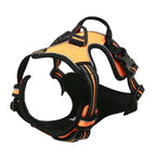 M / Orange