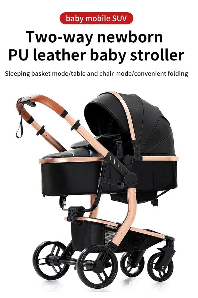 Luxury 3-in-1 Baby Travel System