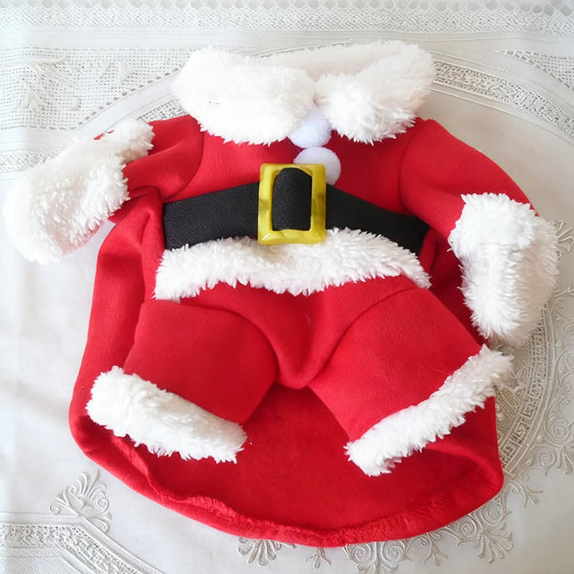 Santa Pet Costume