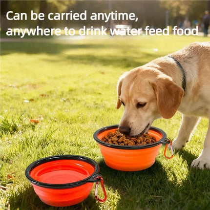 Portable Silicone Pet Bowl