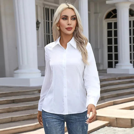 Women's Casual Long Sleeve Blouse