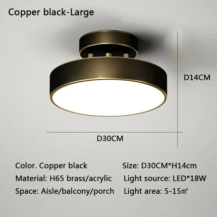 Modern Nordic LED Ceiling Light