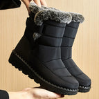 Black / 36