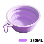 350ml / 6-Purple