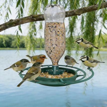 Hanging Bird Feeder