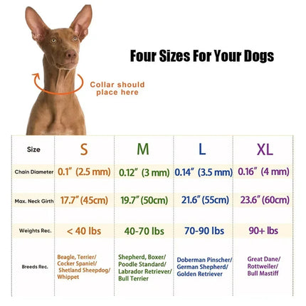 Dog Training Collar