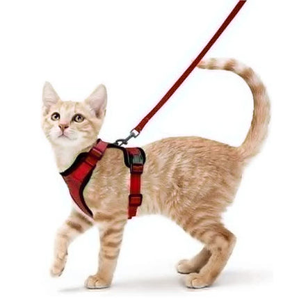 Soft Cat Harness Set