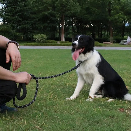 Reflective Dog Leash