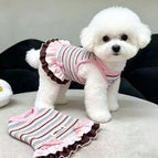 Striped Rainbow / suit 4kg-5.5kg pet