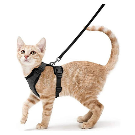 Soft Cat Harness Set