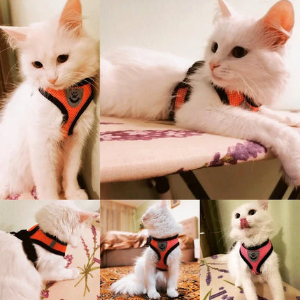 Breathable Pet Harness