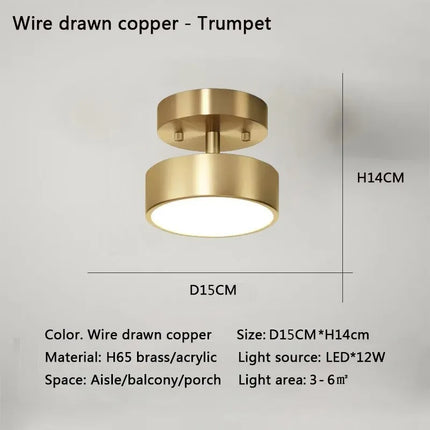 Modern Nordic LED Ceiling Light
