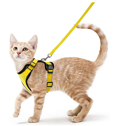 Soft Cat Harness Set