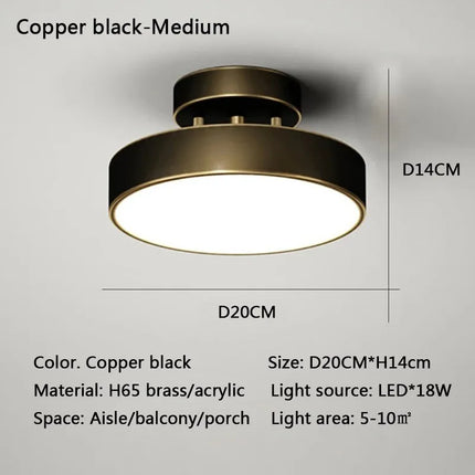 Modern Nordic LED Ceiling Light