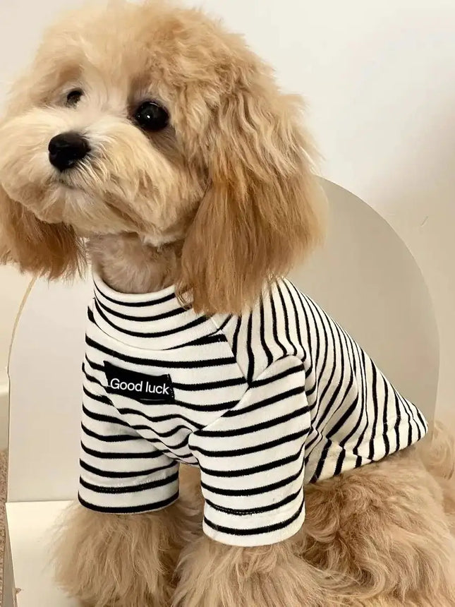 Striped Thermal Dog Sweater