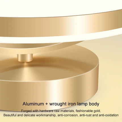 Modern LED Ceiling Lamp