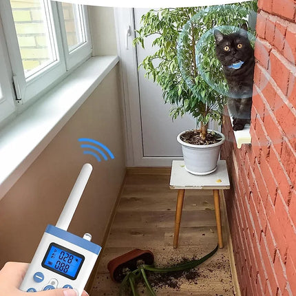Cat Training Collar