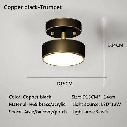 Modern Nordic LED Ceiling Light
