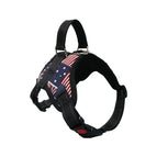 XS（old） / American flag