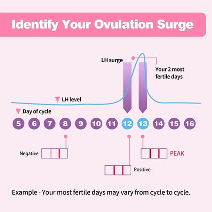 Ovulation and Pregnancy Test Kit
