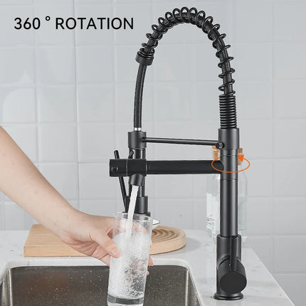 Pull-Down Kitchen Faucet