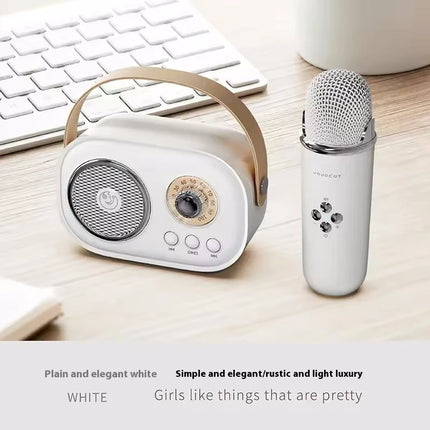 Portable Karaoke Bluetooth Speaker