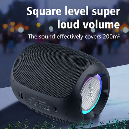 10W Portable Bluetooth Speaker
