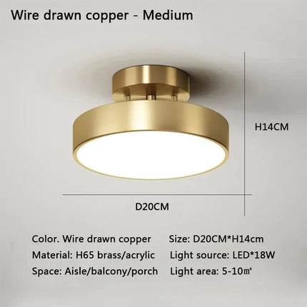 Modern Nordic LED Ceiling Light