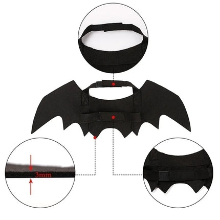 Bat Wing Pet Costume