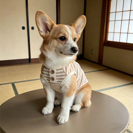 Striped Knitted Pet Vest