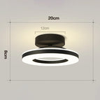 3 Light Colors / Black 20cm