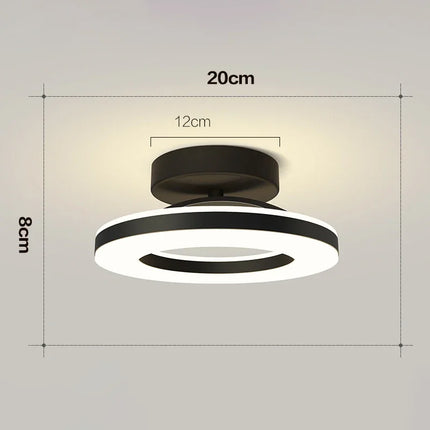 Modern LED Ceiling Lamp