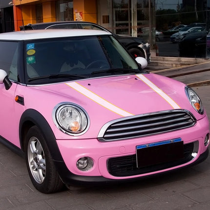 Car Hood Decorative Stripes