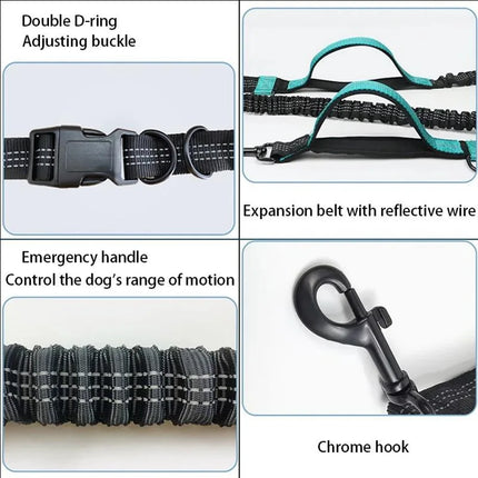 Double Elastic Reflective Dog Leash