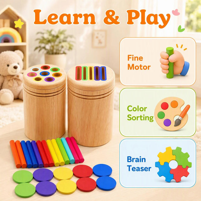 Wooden Coin and Color Sorting Game for Toddlers
