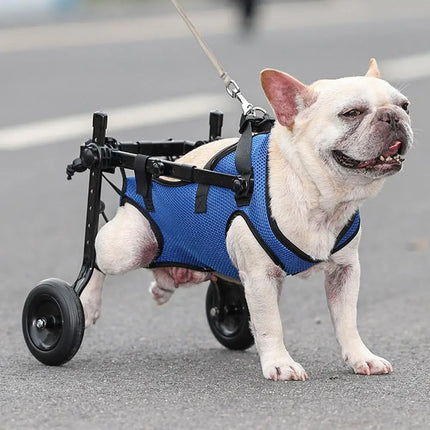 Adjustable Pet Wheelchair