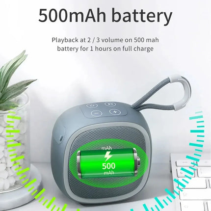 Portable Mini Bluetooth Speaker with FM Radio