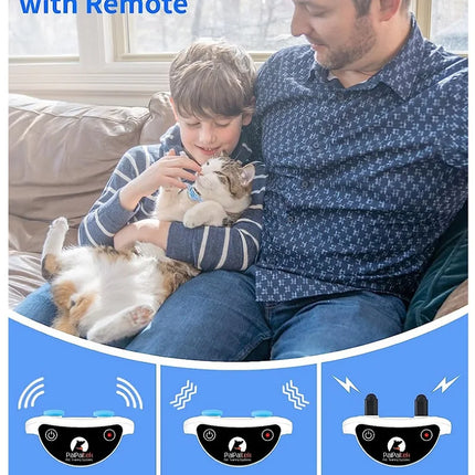 Cat Training Collar