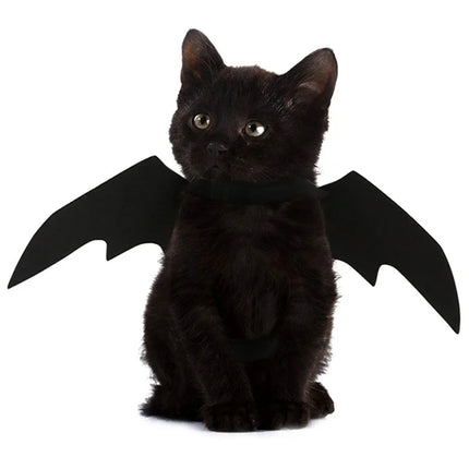 Bat Wing Pet Costume