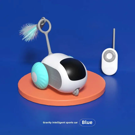 Interactive Remote Control Pet Car Toy