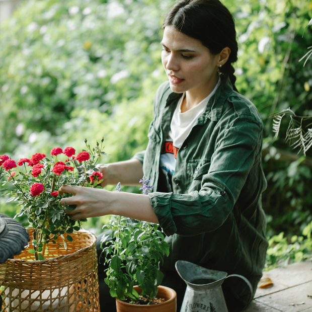<h3>Home & Garden</h3>